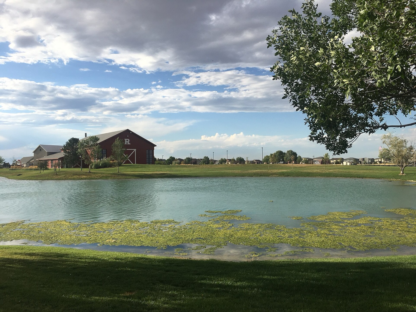 Pond and lawn in Commerce City's Reunion neighborhood with houses and a barn-style building beyond