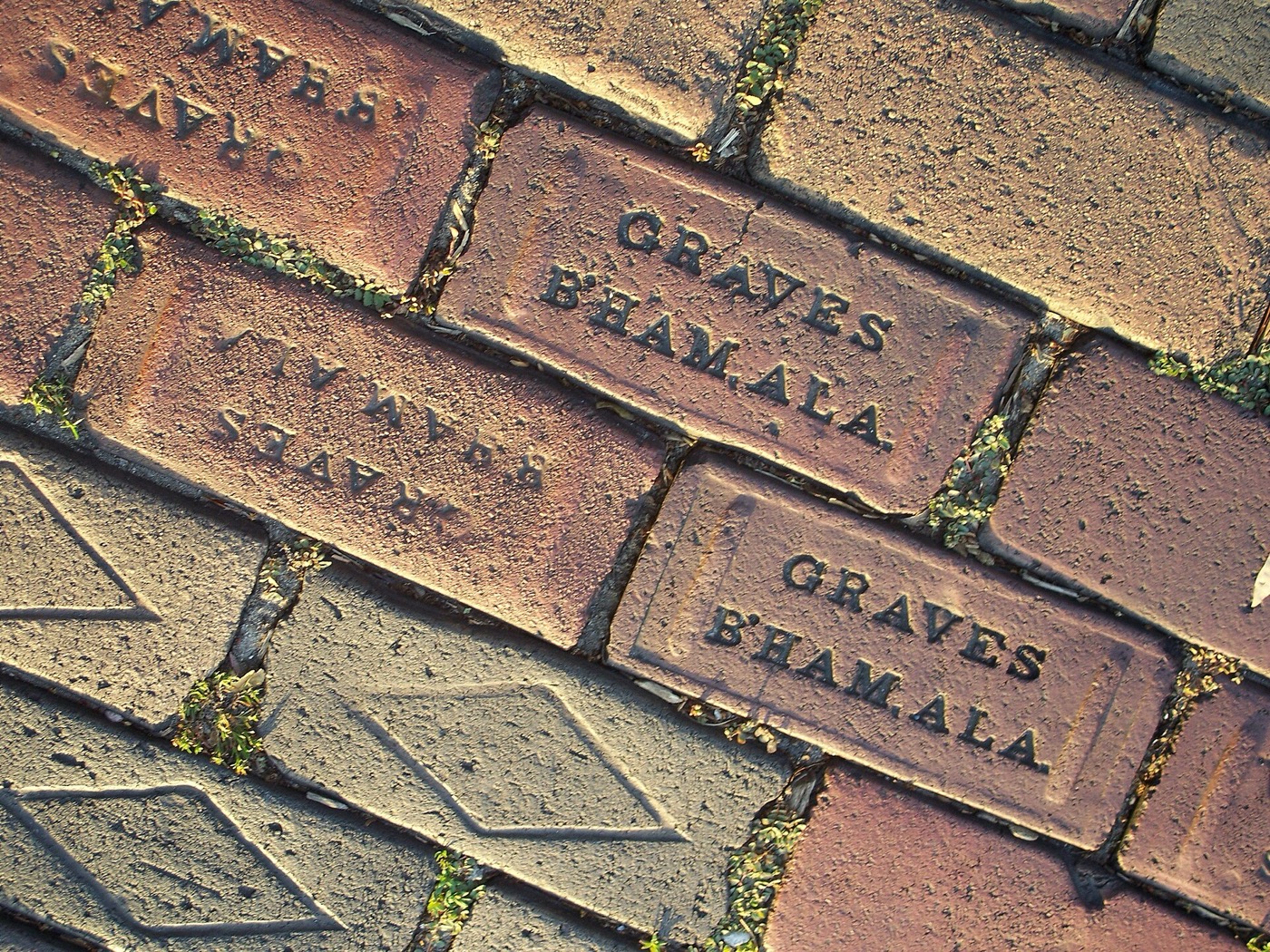 A brick-paved street running between two historic homes in Apopka, Florida