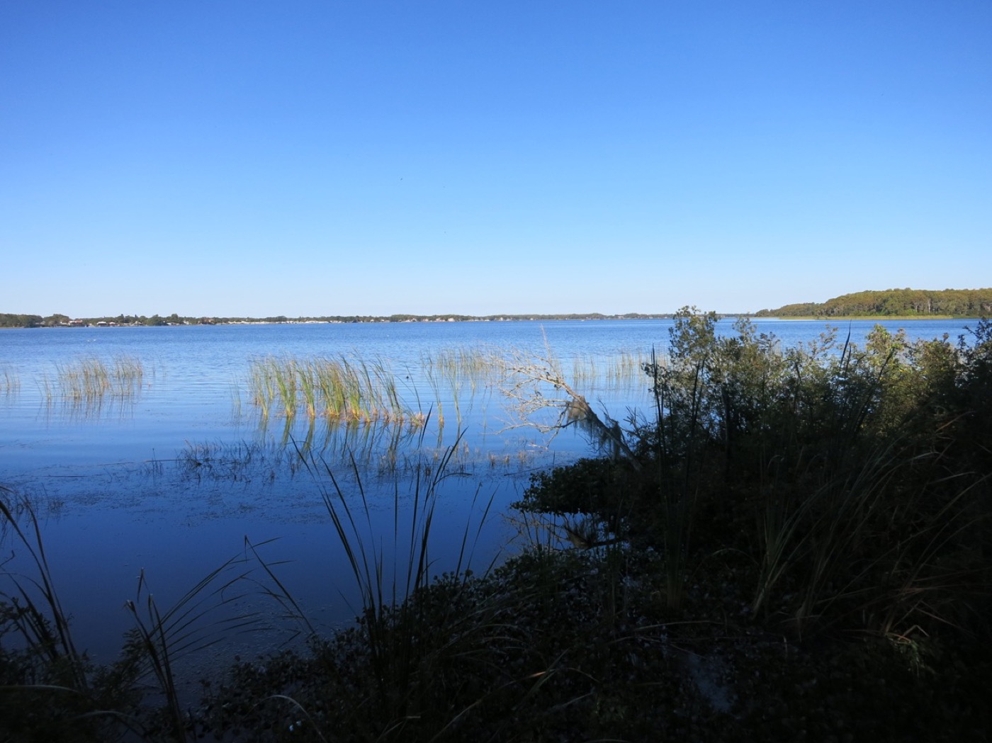 Lake Tarpon seen from John Chestnut Sr. Park in north Pinellas County, near East Lake