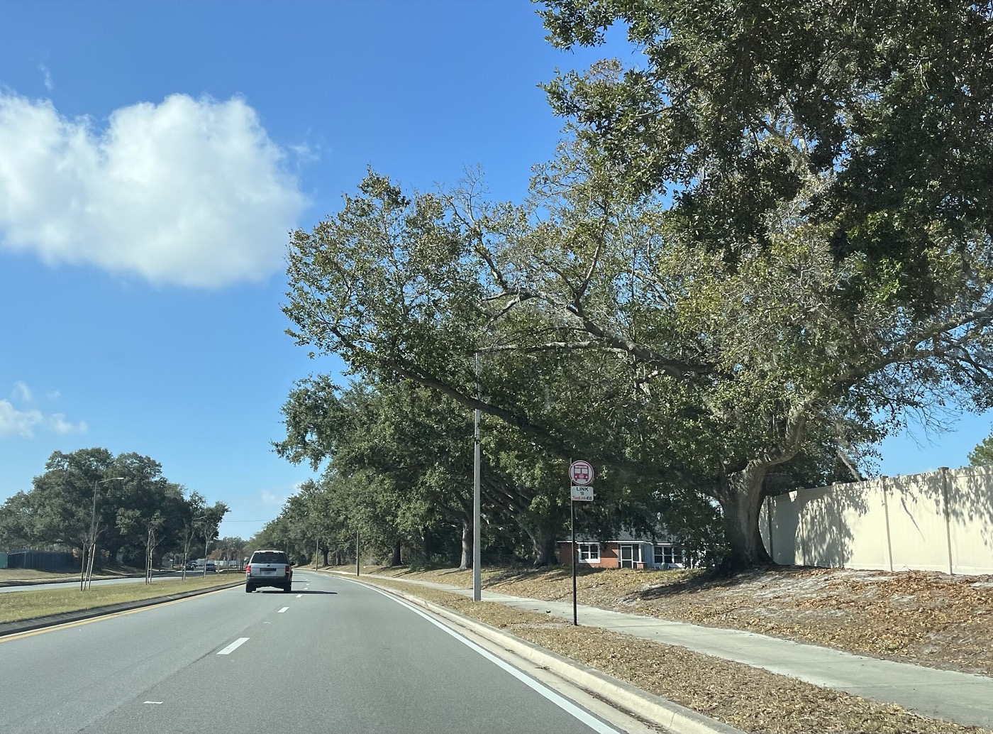 Street scene in the Meadow Woods community of south Orange County