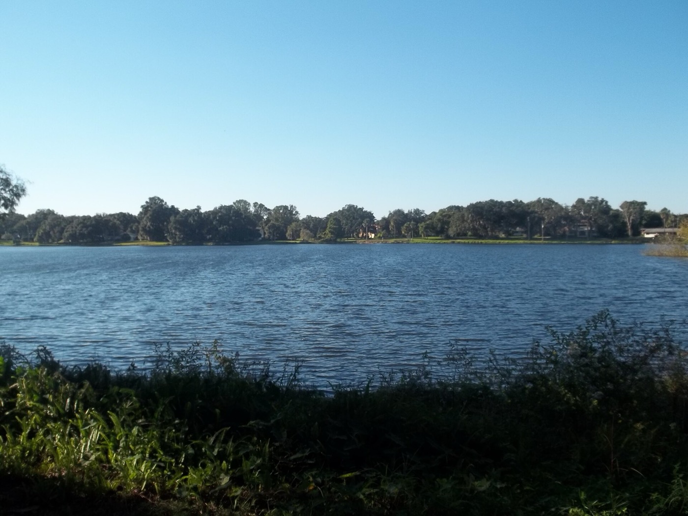 Lake Charm in Oviedo, Florida with a tree line on the far shore