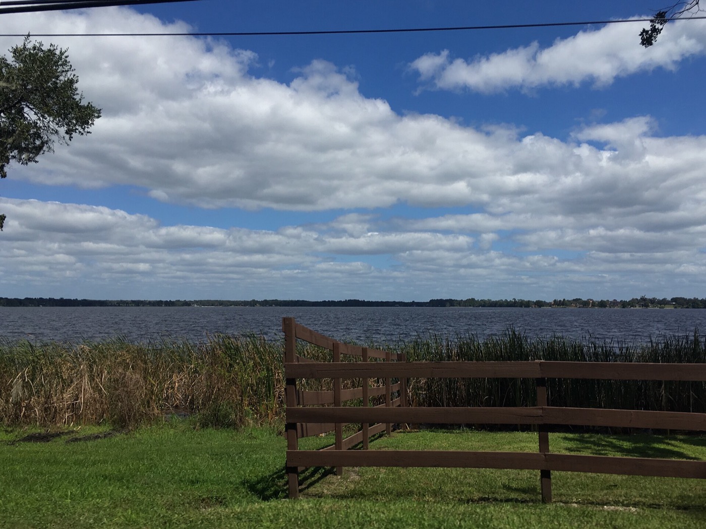 Lake Thonotosassa with trees along the shore in Thonotosassa, Florida
