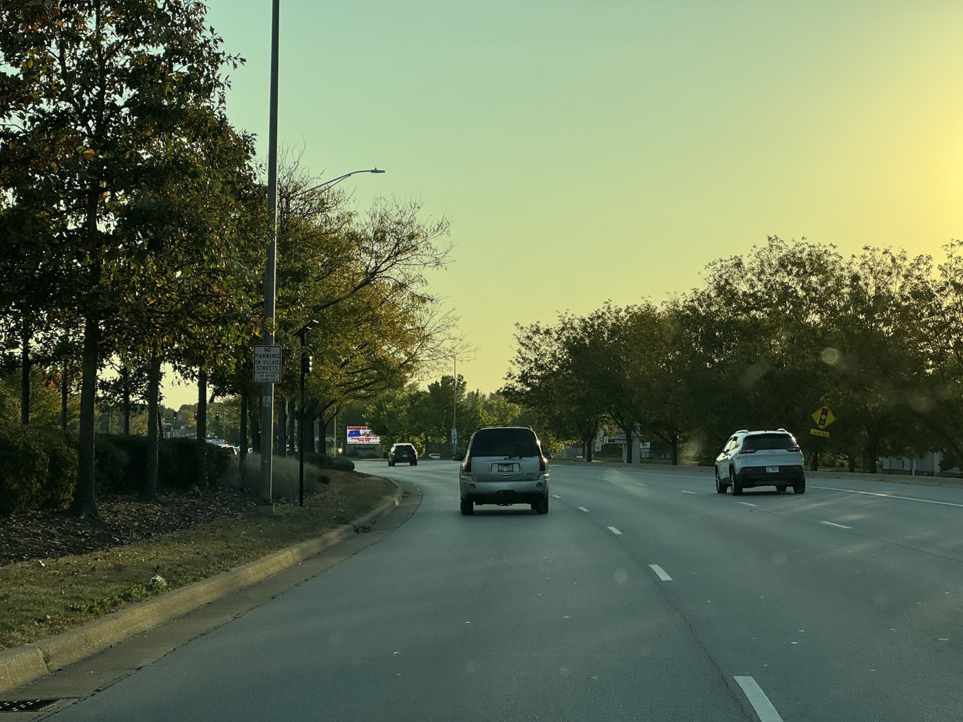 Westbound Boughton Road near the Janes Avenue intersection in Bolingbrook