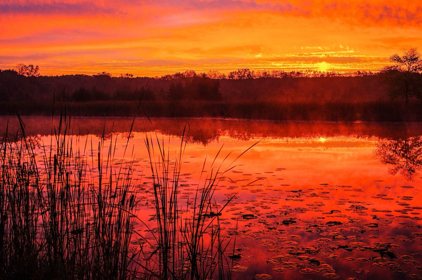 Orange sunrise reflected on the pond at Half Day Forest Preserve near Vernon Hills