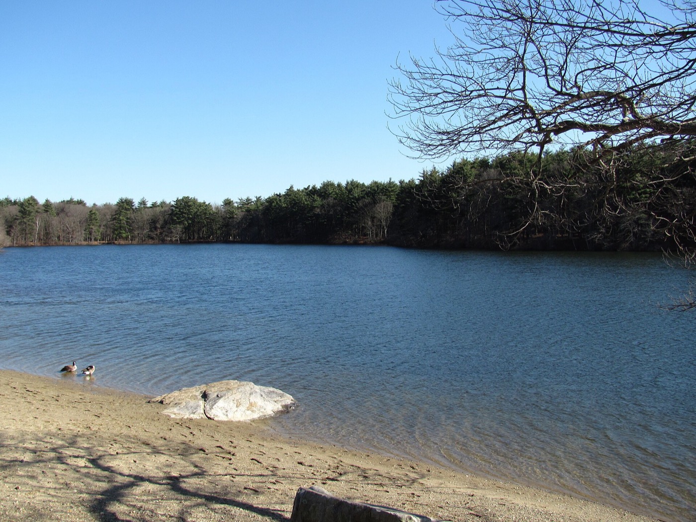 Houghton's Pond in the Blue Hills Reservation in Milton