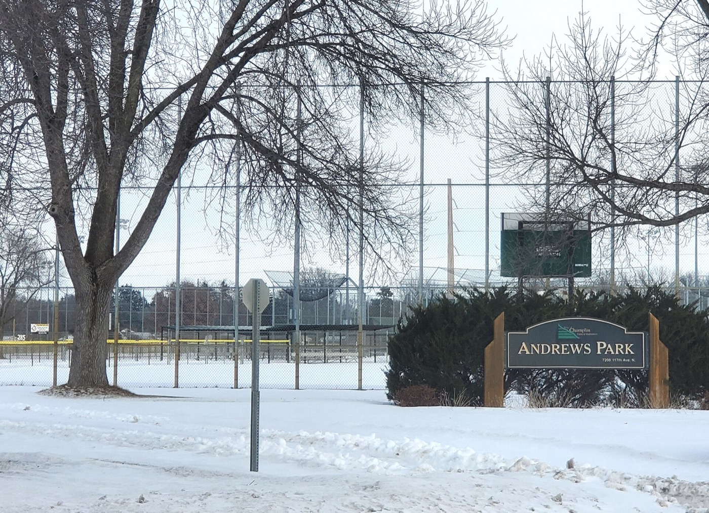 Green space and trees at Andrews Park in Champlin, Minnesota