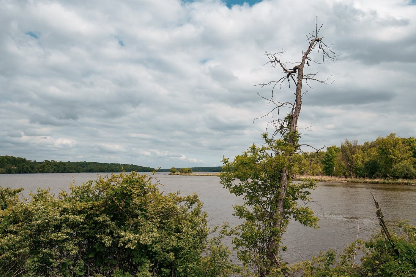 Mooers Lake, a Mississippi River backwater, seen from Hazen P. Mooers Park on Grey Cloud Island in Cottage Grove