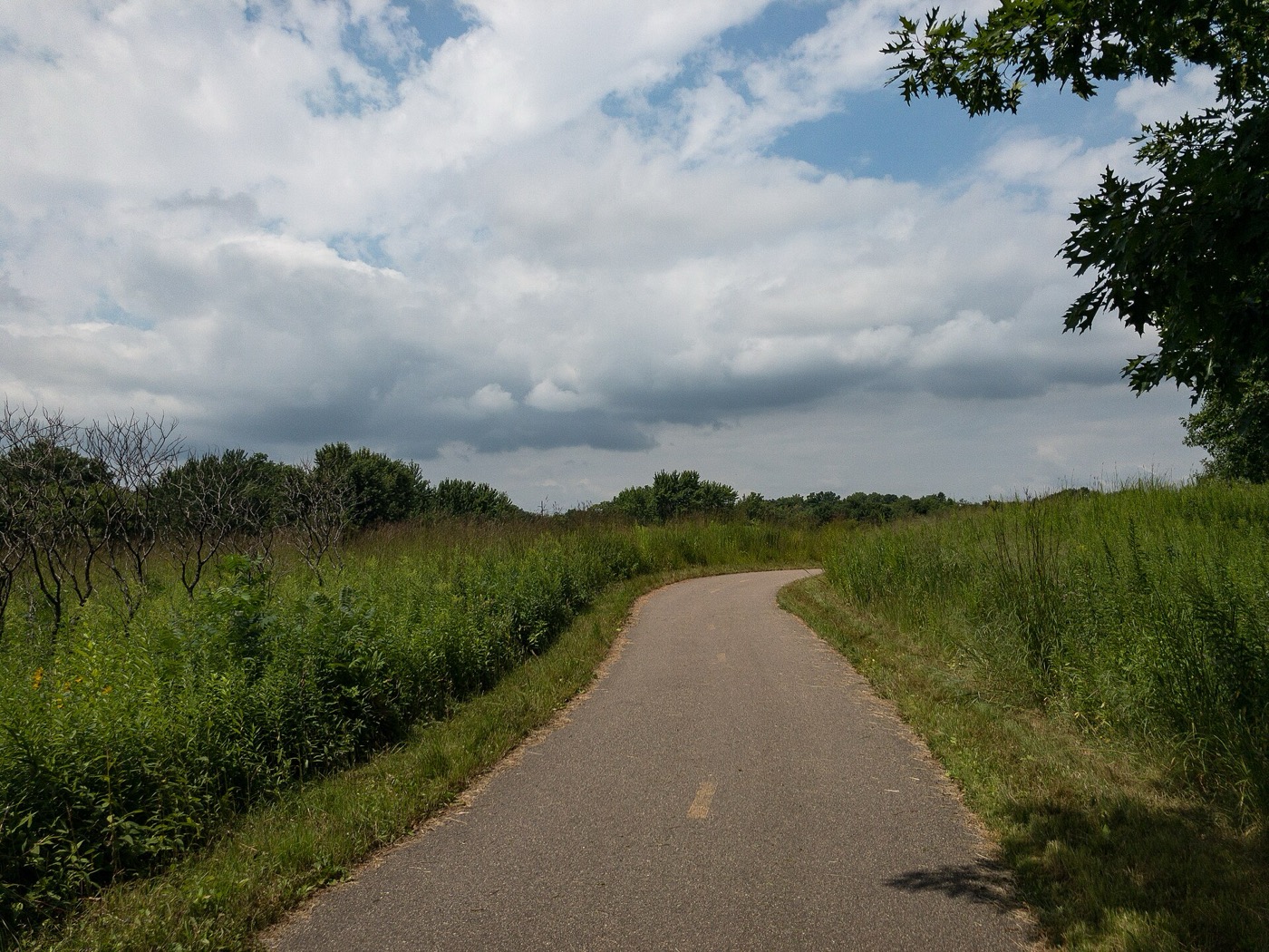 Mississippi River Greenway trail through trees in Inver Grove Heights