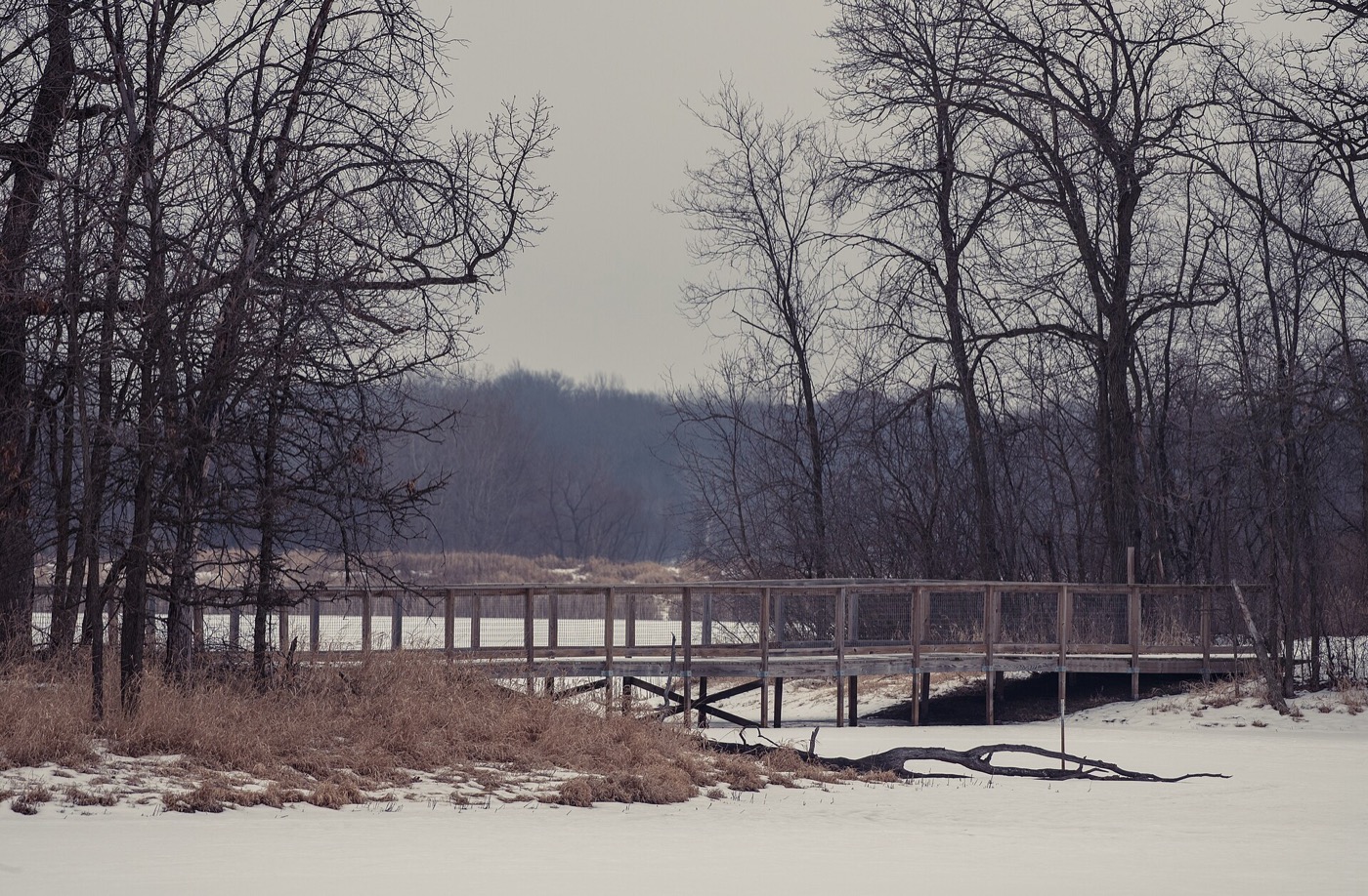 Snowy trail bridge over Eagle Point Lake in Lake Elmo Park Reserve