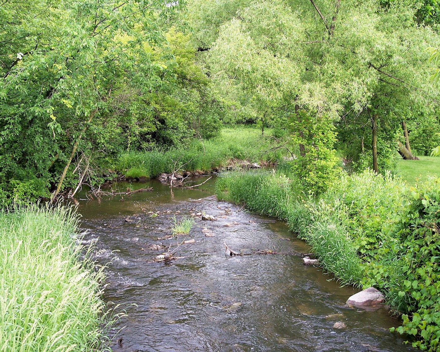 The Credit River flowing through wooded Hidden Valley Park in Savage