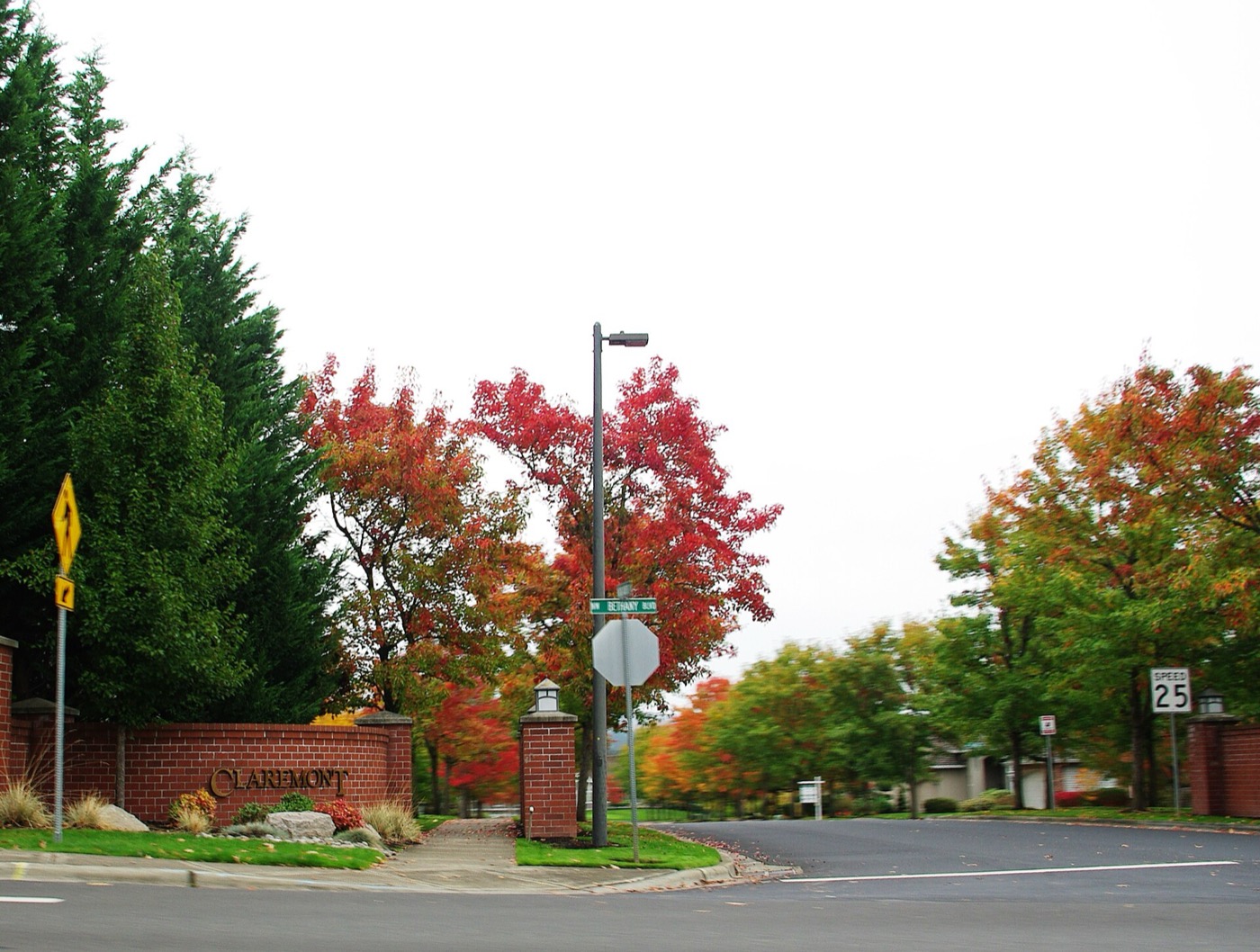 Landscaped entrance to a residential subdivision in Bethany