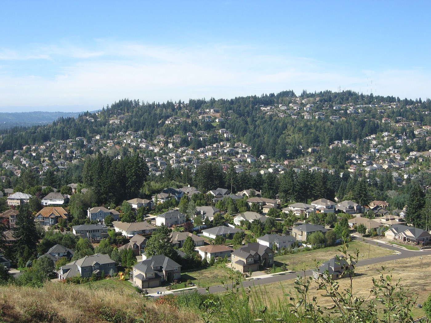 Forested Mount Scott rising above homes in Happy Valley
