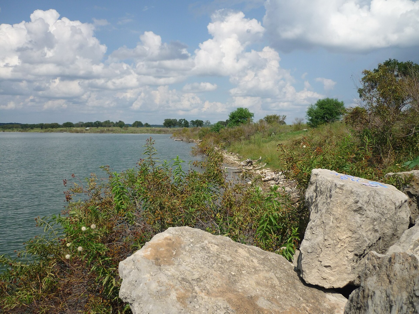 Canyon Lake's water and limestone shoreline under a partly cloudy sky