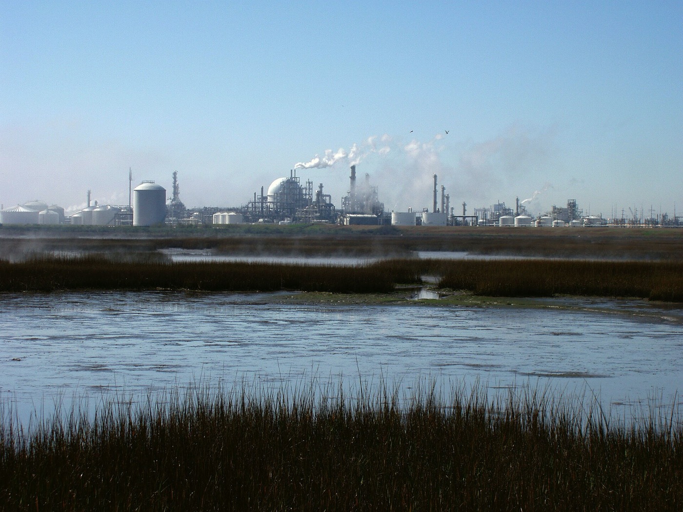 Chemical plants and storage tanks seen across a coastal marsh in Freeport, Texas
