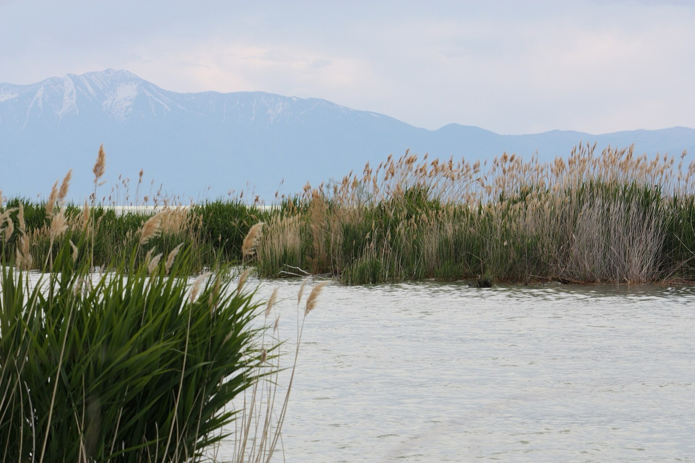 View across Utah Lake from the shoreline at Saratoga Springs, Utah