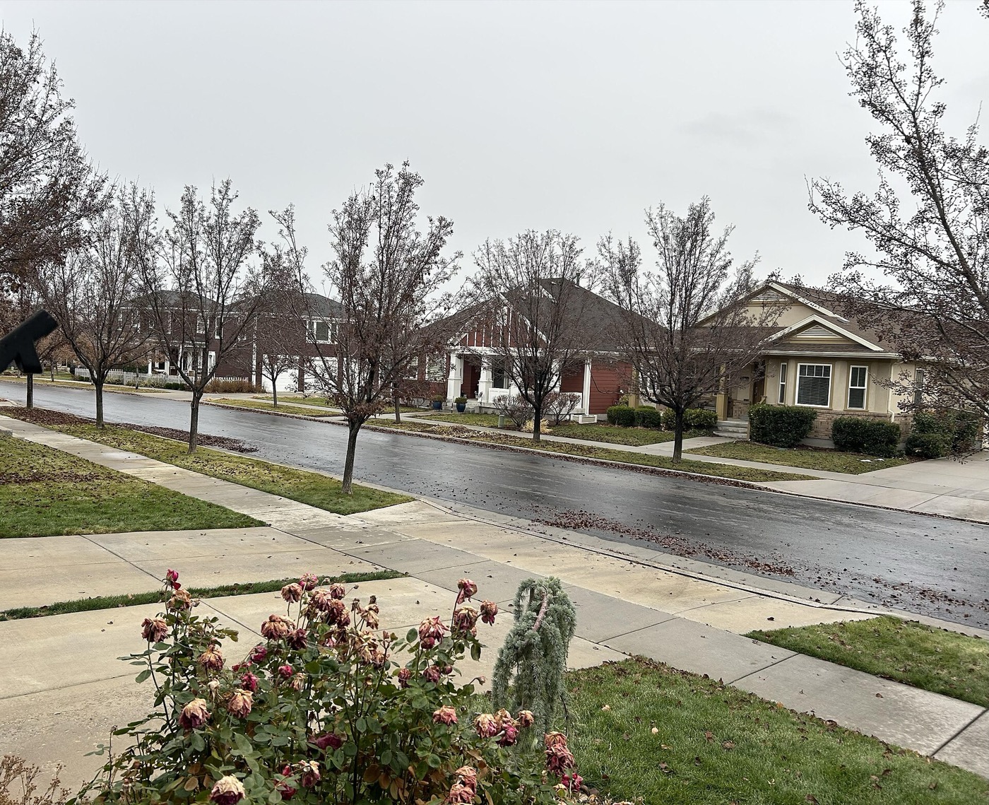 A residential street of newer homes in South Jordan's Daybreak community