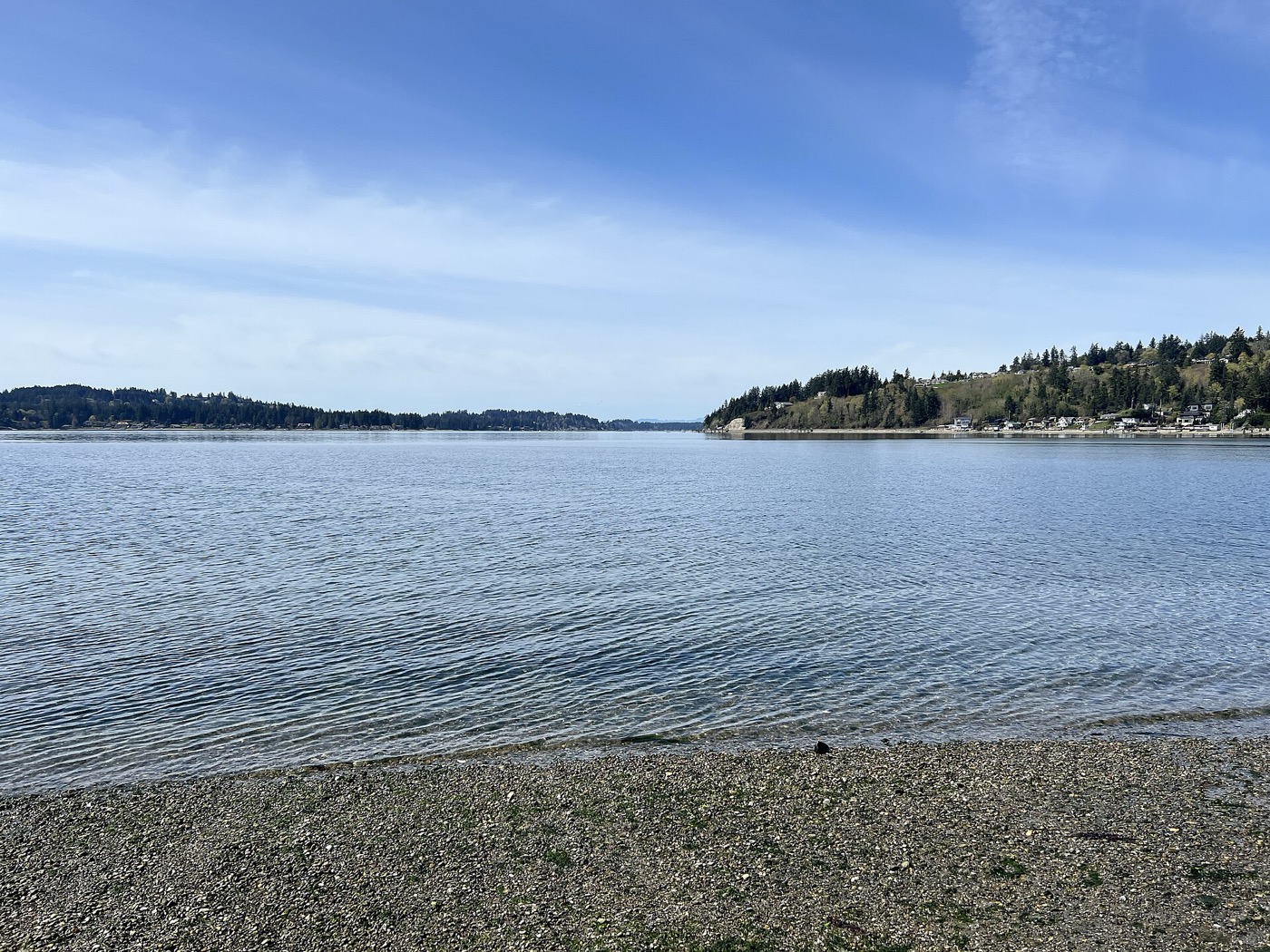 Calm water of Wollochet Bay with wooded shoreline, seen from the Point Fosdick public boat launch on the Gig Harbor peninsula