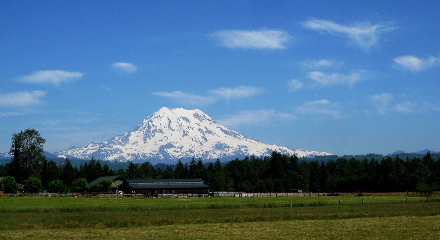 Snow-covered Mount Rainier rising behind open pasture and a line of evergreen trees in Graham, Washington