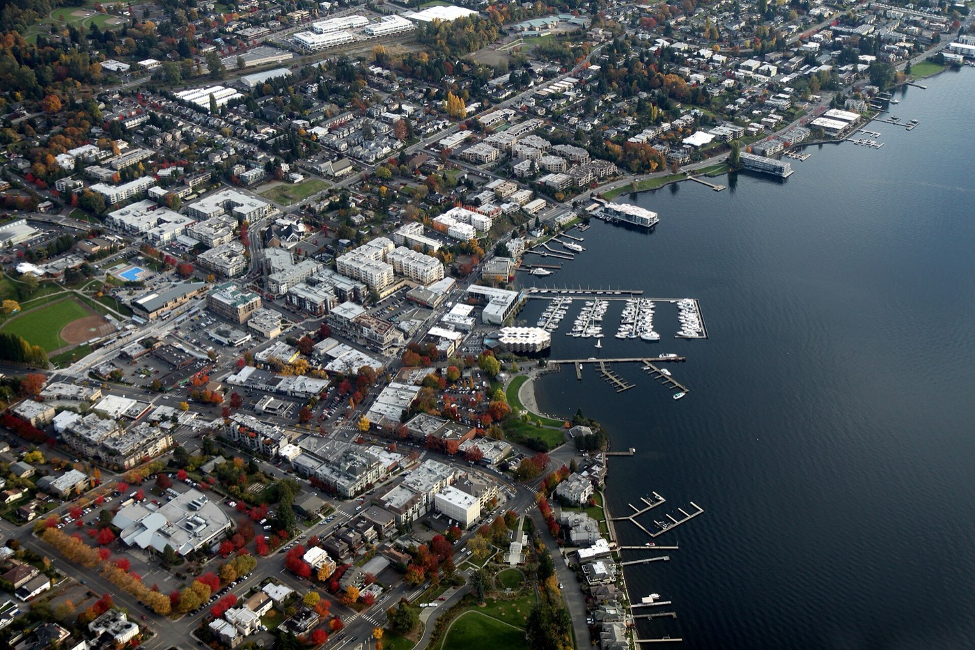 Aerial view of downtown Kirkland's waterfront, marina and surrounding neighborhoods on Lake Washington in autumn