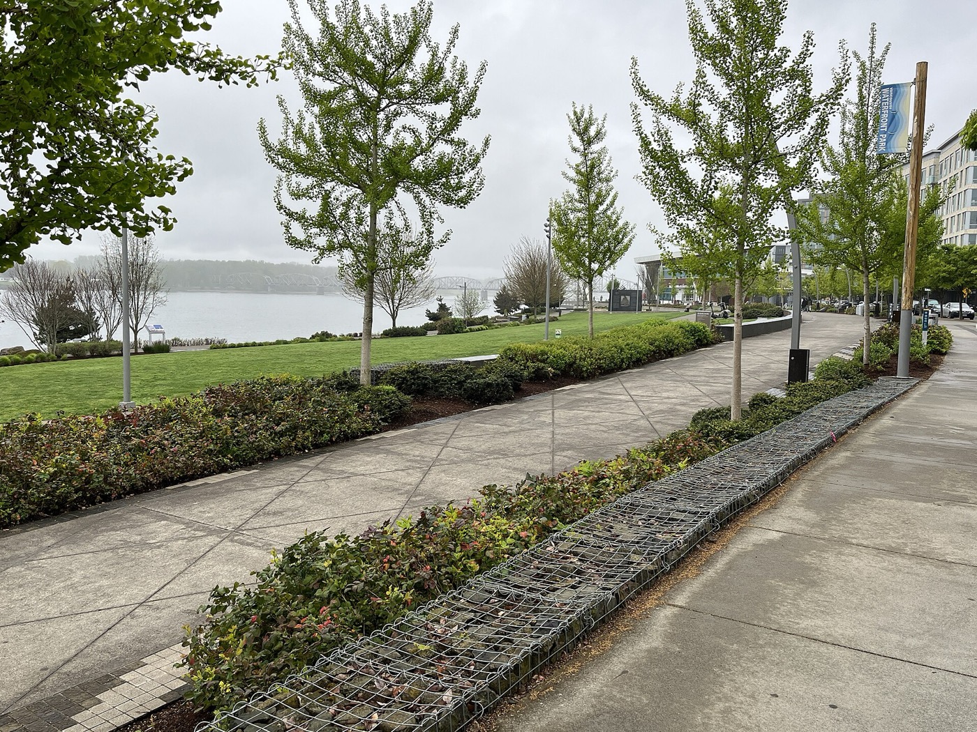 Paved promenade with young trees and planted beds along the Columbia River at Vancouver Waterfront Park